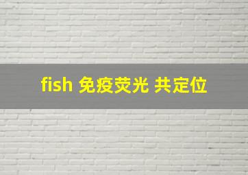 fish 免疫荧光 共定位